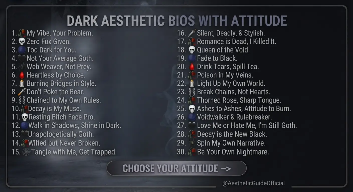 Dark Aesthetic Bios With Attitude
