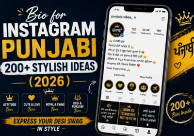 Bio for Instagram Punjabi: 200+ Stylish Ideas (2026)